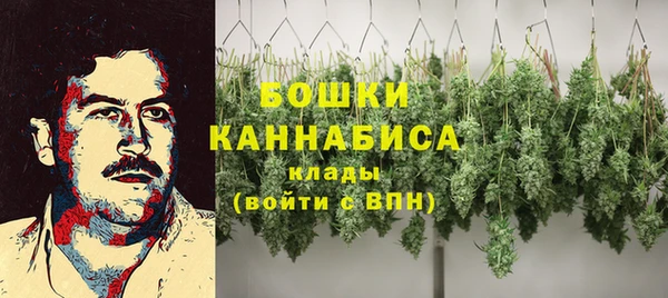 ПСИЛОЦИБИНОВЫЕ ГРИБЫ Гатчина