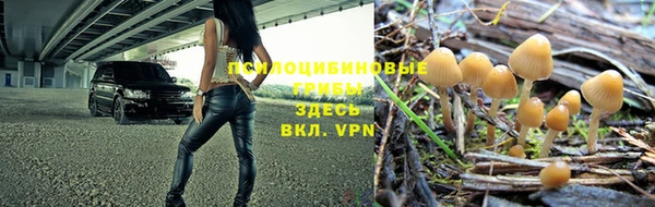 прущая мука Семёнов