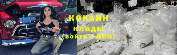 соль ск Алексин